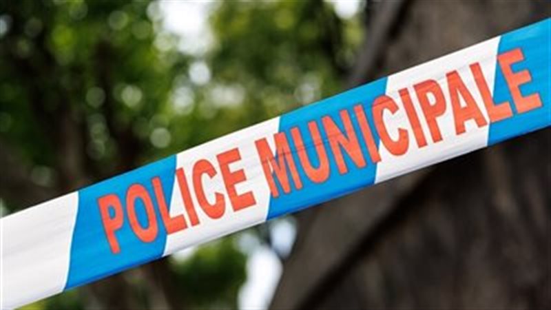 سرقة متحف دار التنوير