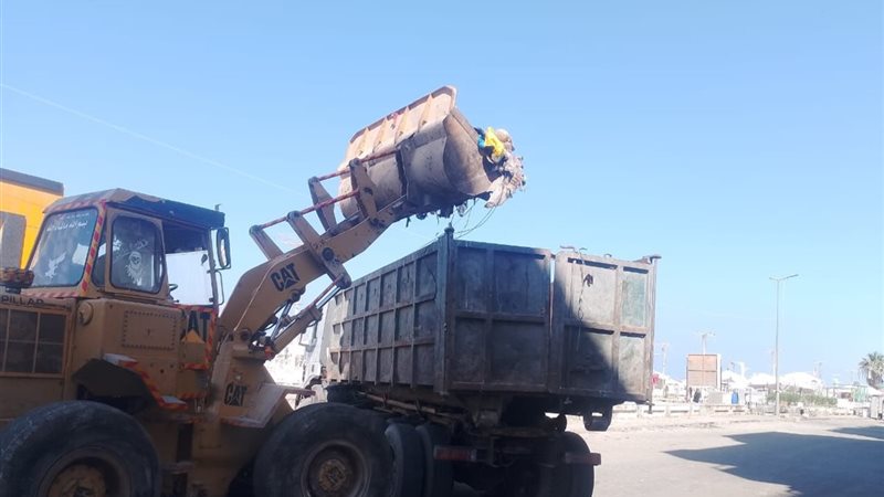 شاطئ النخيل