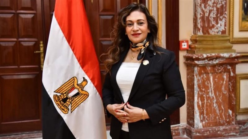 النائبة إيفا فارس