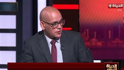 خبير برلماني: ارتفاع تمثيل النساء في القوائم يقابله تراجع في المقاعد الفردية