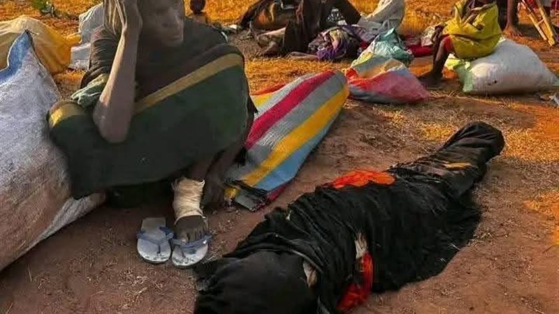 الفاشر