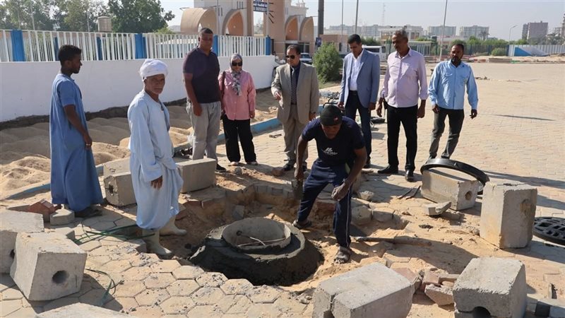 بوابة جامعة قنا