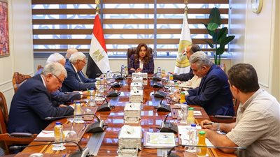 منال عوض:تنفيذ بعض المشروعات السياحية والتنموية المرتبطة بمسار العائلة المقدسة
