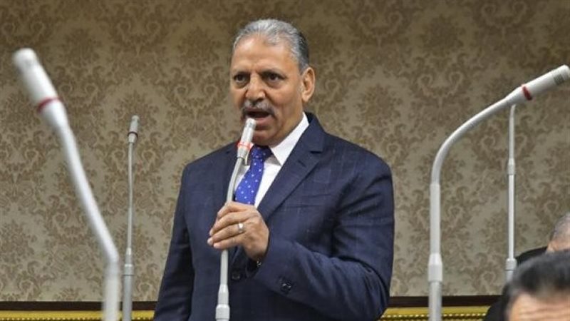 اللواء ابراهيم المصري