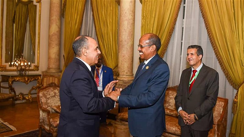 وزير الخارجية والهجرة