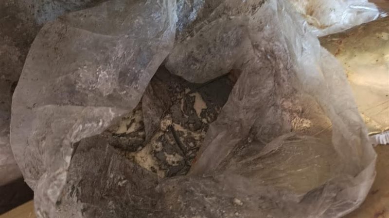 المضبوطات 