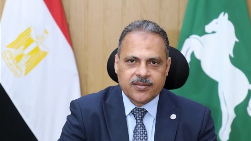 محافظة الشرقية