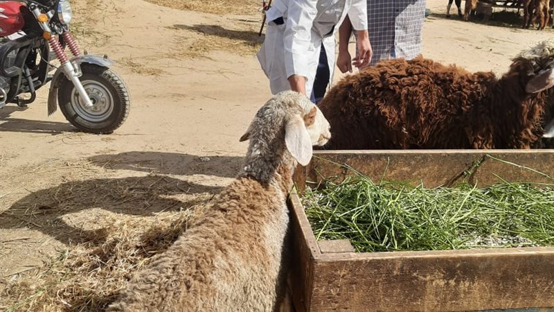 تحصين نحو 117 ألف