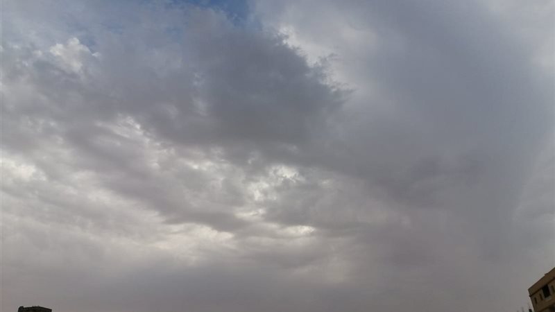 ارشيفية