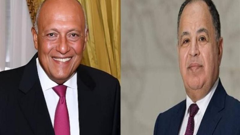 شكري ومعيط