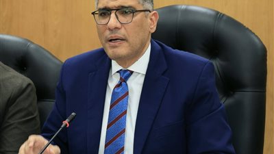 النجار: جاهزية كاملة لاستقبال 6.5 مليون ناخب وتيسير مشاركتهم في 775 لجنة فرعية