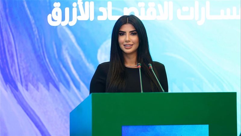 الشبكة العربية للمنظمات