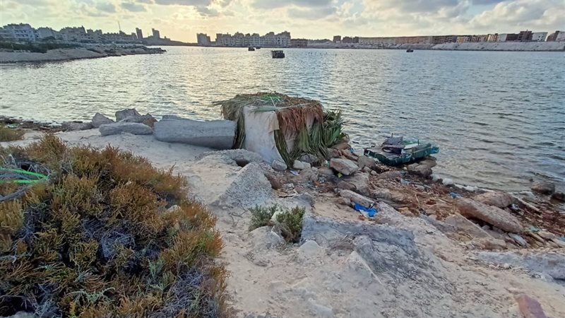 علم الروم 