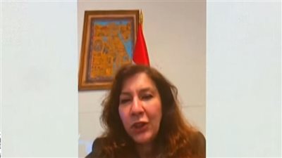 السفيرة ريهام خليل: انطلاق انتخابات النواب الساعة 9 صباحًا بتوقيت البحرين