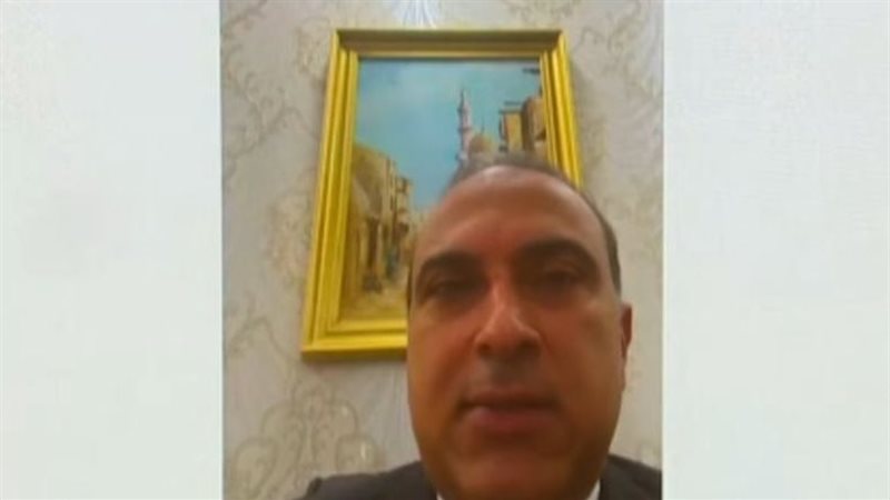 السفير تامر حماد