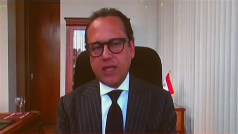 السفير هاني ناجي