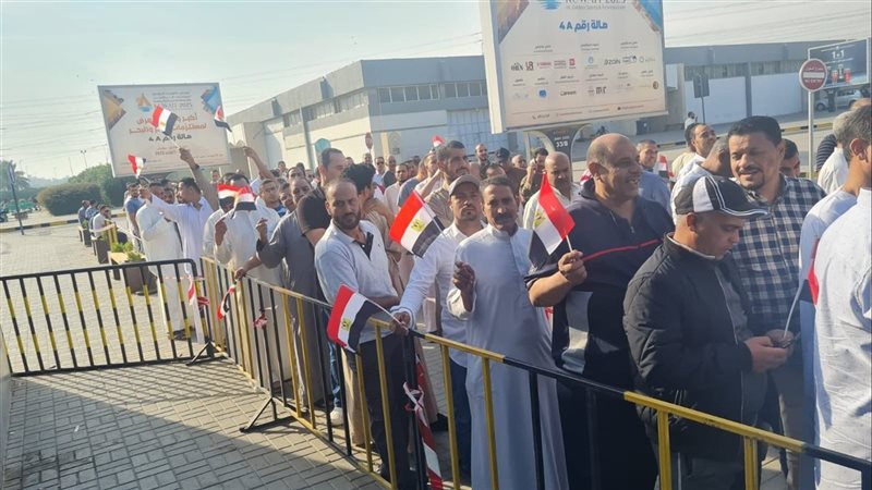 المصريون في الخارج