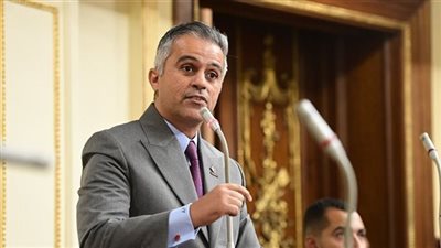 مطالب برلمانية بمناقشة عامة لدعم الكيانات الشبابية وتعزيز دورها في التنمية