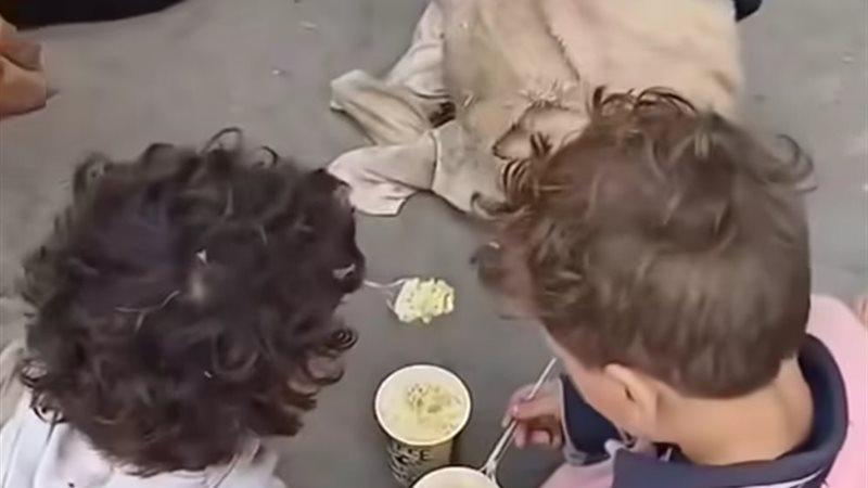 أطفال الزقازيق