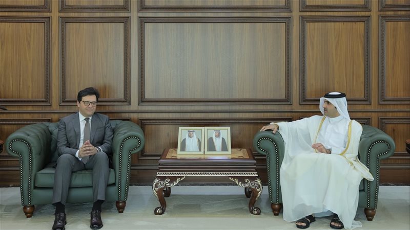 وزير الثقافة يلتقي
