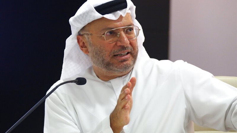 أنور قرقاش، المستشار