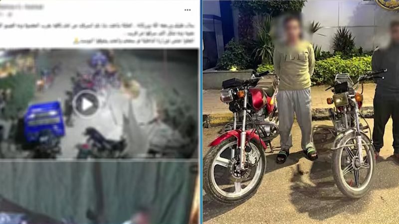 الجناه
