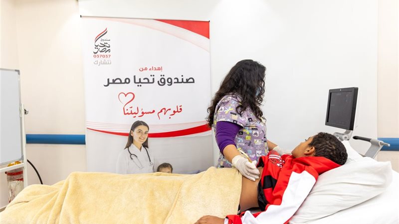 صندوق تحيا مصر