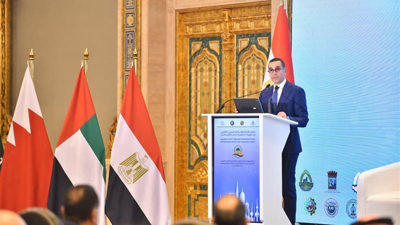 وزير الاستثمار