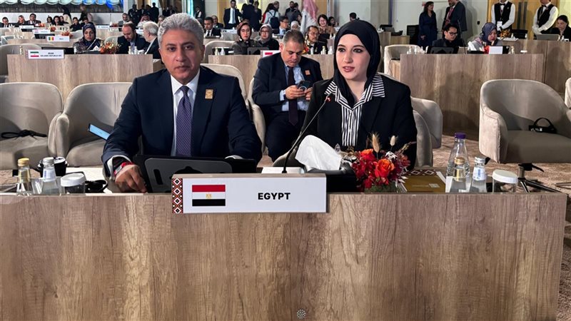 مشاركة مصر في الجلسة