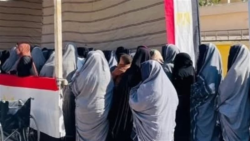 إقبال كثيف في سيوة