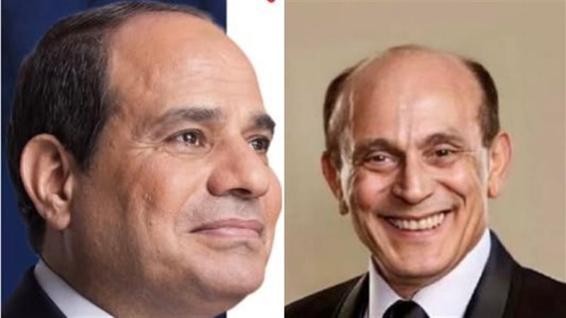 الرئيس السيسي والفنان