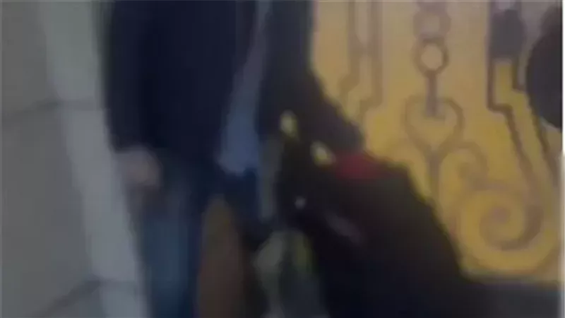 صورةمن الواقعة