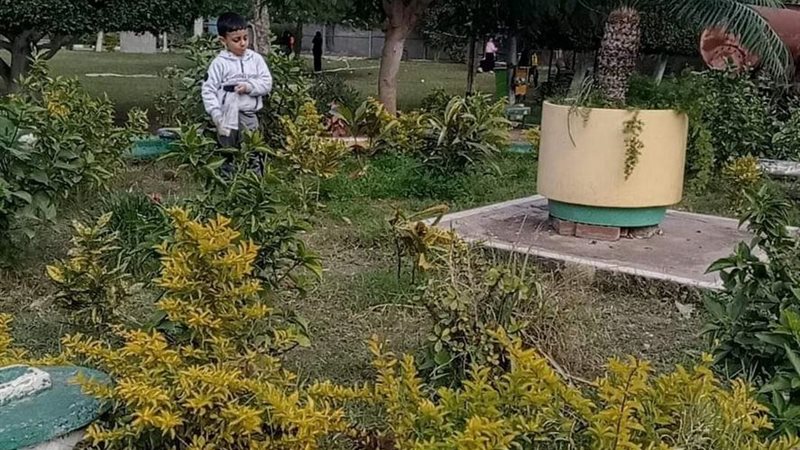 حديقة المنصورة