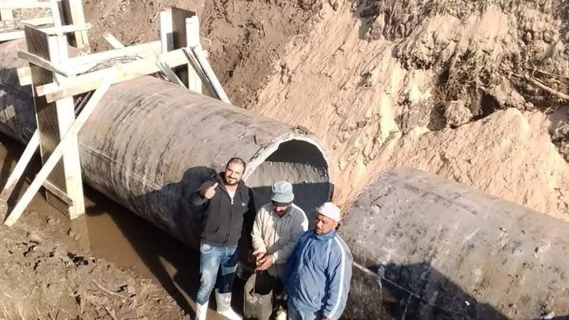 الدقهلية