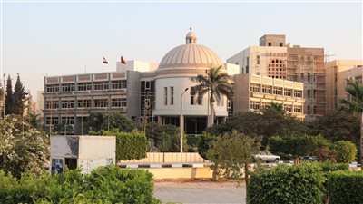 طالبة تحرر محضرًا بسرقة مبلغ مالي أمام الحرم الجامعي بالفيوم