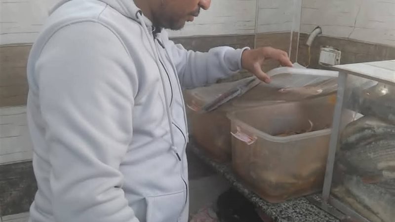 حملة قنا