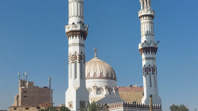 ارشيفية