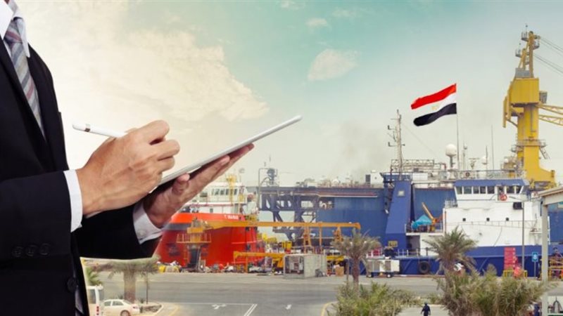 الاستثمار المصري