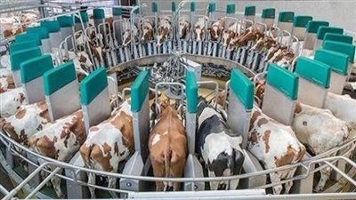الزراعة: إصدار 908 ترخيصا خلال مارس لكافة أنشطة ومشروعات الثروة الحيوانية والداجنة والعلفية