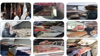 بحلول عيد الفطر.. محافظ الجيزة: وقف إجازات البيطريين وتكثيف الحملات بأماكن تخزين وتداول الأسماك المملحة والمدخنة 