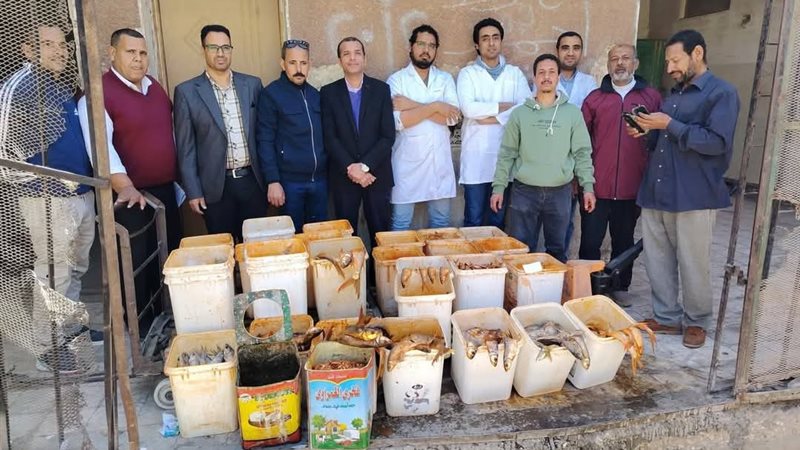 مضبوطات الفسيخ والملوحة