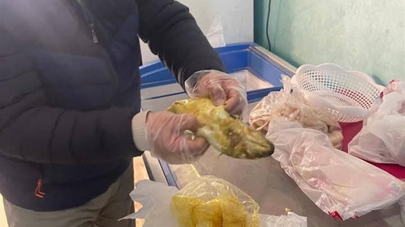 ضبط فسيخ مجهول المصدر