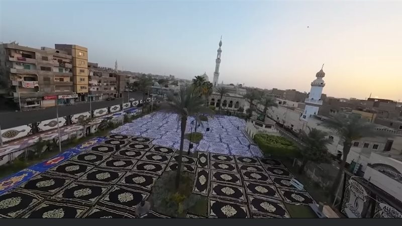 فرش الحديقة بقنا
