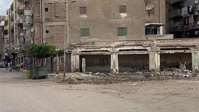 صورة من الحملة