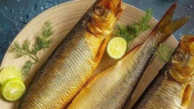 اسعار الرنجه اليوم