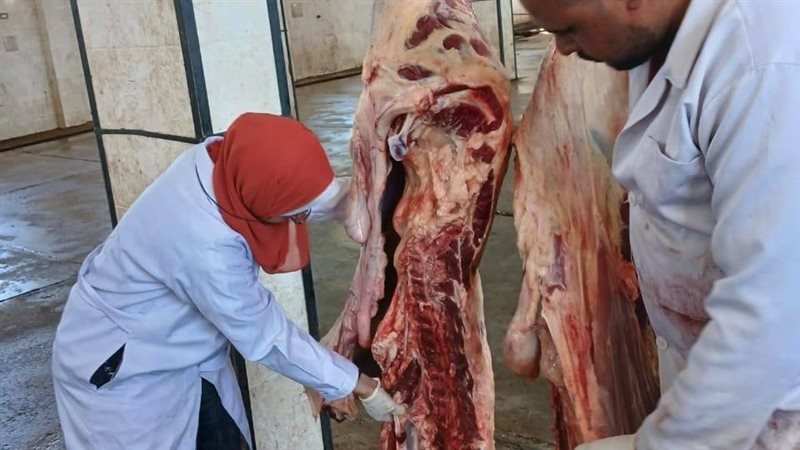 رفع درجة الاستعداد