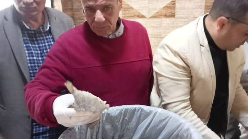 صور من المضبوطات