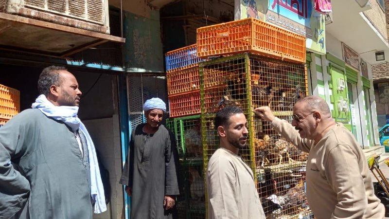 حملات وزارة التموين