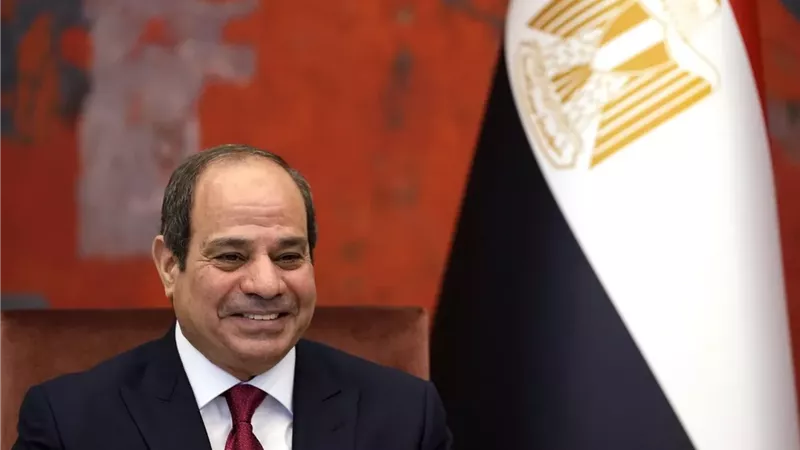 السيد الرئيس عبد