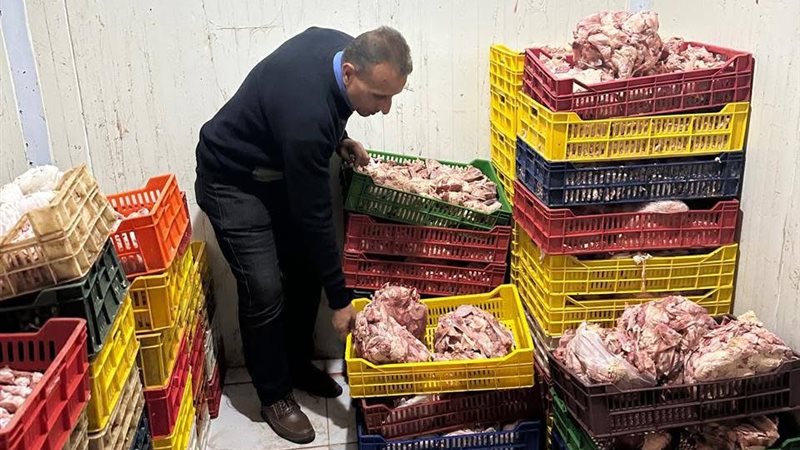 ضبط طن من الفراخ
